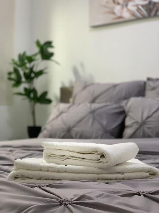 براشوف Studio Central Mm Apartments المظهر الخارجي الصورة