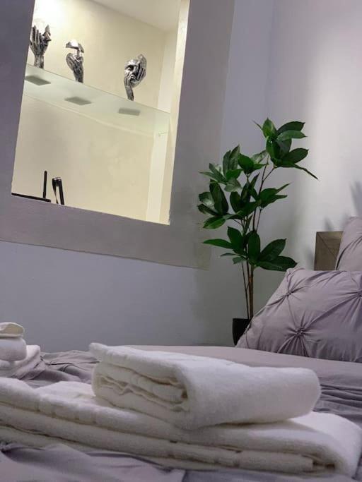 براشوف Studio Central Mm Apartments المظهر الخارجي الصورة