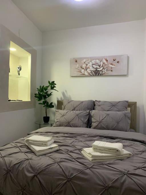 براشوف Studio Central Mm Apartments المظهر الخارجي الصورة